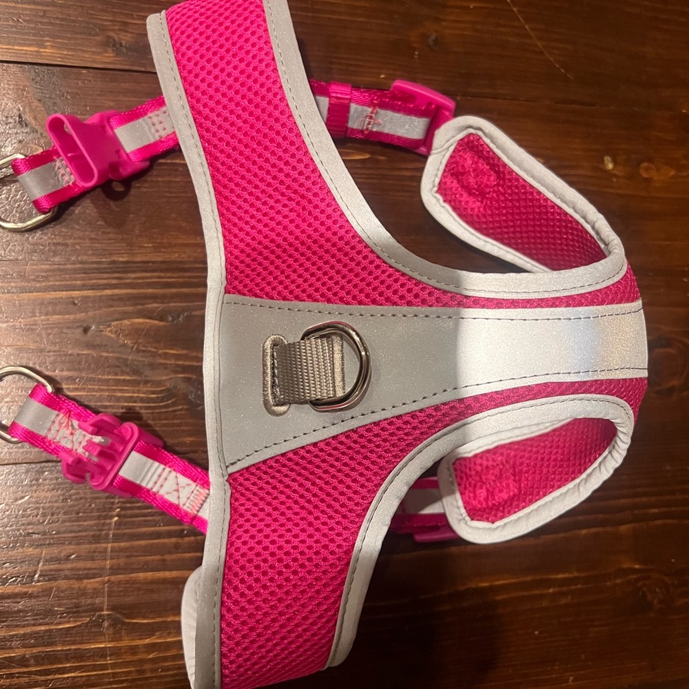 Head Pink and Gray Mesh Accessory